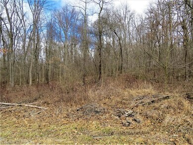 0 Laramie Rd, Carrollton, OH 44615 - photo 2