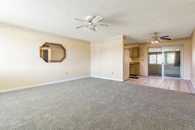 10002 W Caron Dr, Sun City, AZ 85351 - photo 4