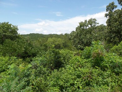 Tbd Irish Hills Blvd, Kimberling City, MO 65686 - photo 4