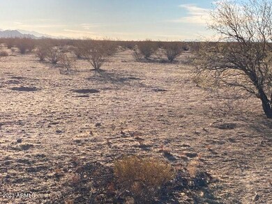 0 S Barrett Rd unit 6186212, Eloy, AZ 85131 - photo 3