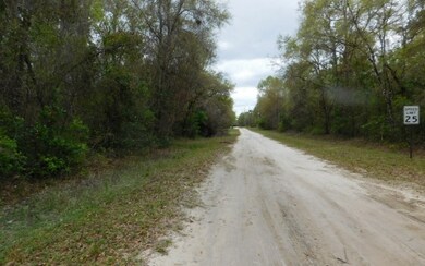 LOT Santa fe Dr, Fort White, FL 2038 - photo 3