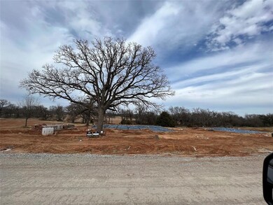 313 Wayward Spur, Springtown, TX 76082 - photo 2
