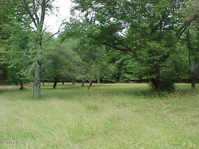 0 Johnny Bee Rd unit PWB113440, Delaware Township, PA 18328 - photo 5