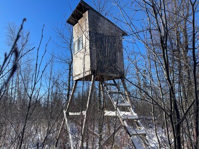 25 Itasca County 25, Wawina Township, MN 55736 - photo 5