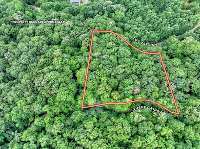 LOT 20 Locust Ln, Morganton, GA 30560 - photo 3