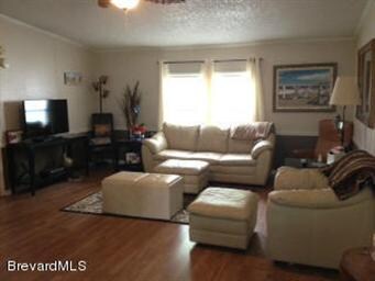 Living Room 2