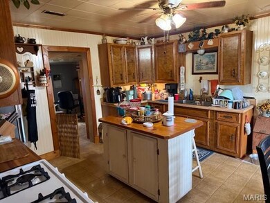 7532 Ripley Route A, Doniphan, MO 63935 - photo 4