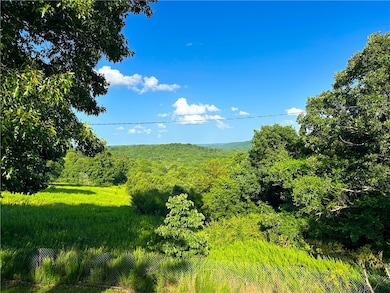 16547 Arkansas 311, Green Forest, AR 72638 - photo 4