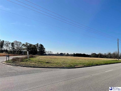 Hwy 9 Angelus Rd, Chesterfield, SC 29709 - photo 2