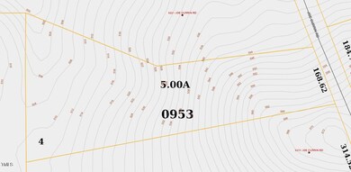Image 6-19-24 at 11.03AM
