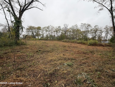 28 Freesia Ct, Brandenburg, KY 40108 - photo 5