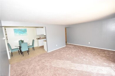 5374 Lee Rd unit 303, Maple Heights, OH 44137 - photo 6