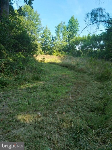 15963 Trigger Ln, King George, VA 22485 - photo 4