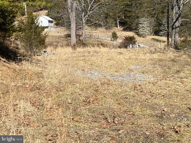 24 Strauter, Franklin, WV 26807 - photo 7