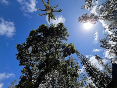 16-1088 Opeapea Rd, Mountain View, HI 96771 - photo 4