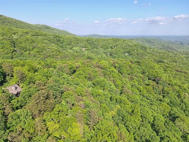 6368 Huckleberry Trail, Big Canoe, GA 30143 - photo 6