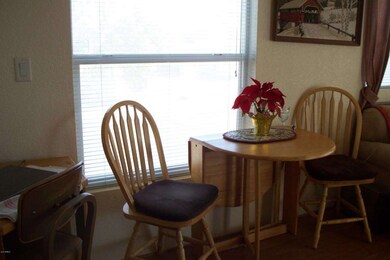 402 E. Barrel Cactus Lane 019