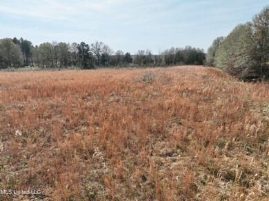 0002 Pisgah Bottom Rd, Canton, MS 39046 - photo 6