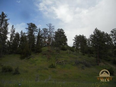 AREA PHOTO