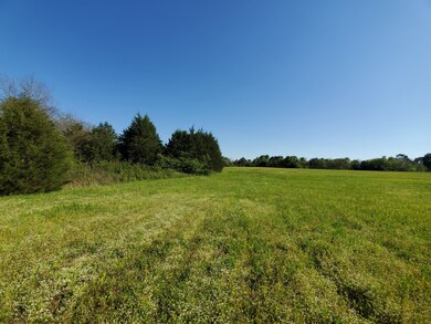 190 Temple Ford Rd, Shelbyville, TN 37160 - photo 5