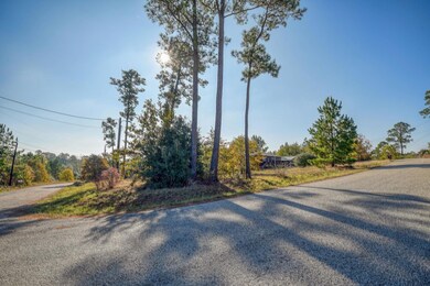 106 Lakewood Dr, Bastrop, TX 78602 - photo 5