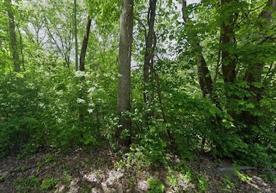 0 Tranquility Way, Smithville, TN 37166 - photo 5