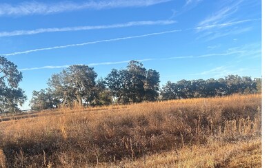 0 98th Pass unit 125976, Live Oak, FL 32060 - photo 4