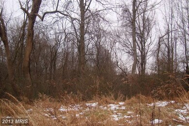 16843 Swanson Rd, Upper Marlboro, MD 20774 - photo 5