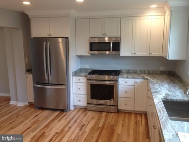 5919 Williamsburg Rd, Alexandria, VA 22303 - photo 5