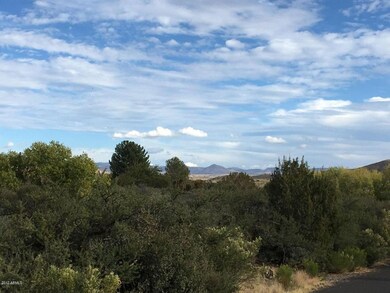 views