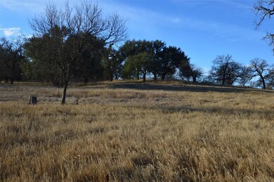 508 Dually Trail, Weatherford, TX 76087 - photo 4