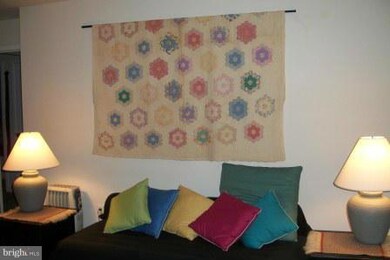 9523 Hickory Limb, Columbia, MD 21045 - photo 5