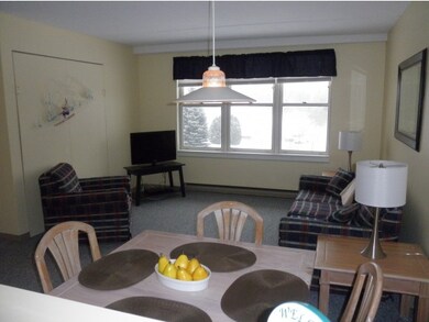 28 Packard Rd unit 531, Waterville Valley, NH 03215 - photo 6