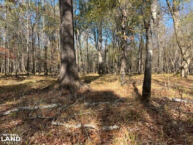 0 Hayes Crossing Rd unit 25566057, Millport, AL 35576 - photo 3