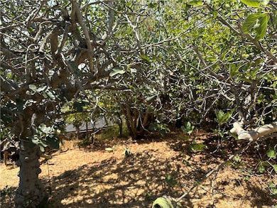 1941 Delta St, Los Angeles, CA 90026 - photo 5