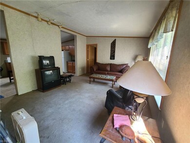 6709 Root Rd, Conneaut, OH 44030 - photo 3