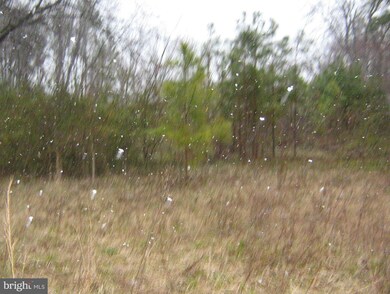 6 Wildwood Rd, Colonial Beach, VA 22443 - photo 2