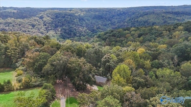 572 McDermont Rd, Union Grove, AL 35175 - photo 4