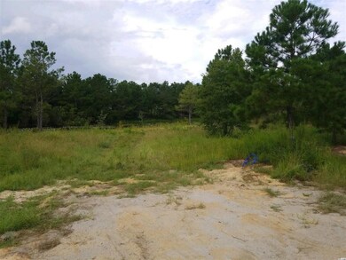 0 Pebble Ln, Conway, SC 29526 - photo 2