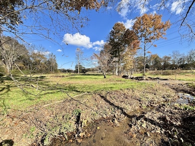 4740 Ash Hill Rd, Spring Hill, TN 37174 - photo 7