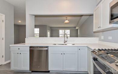 3917 Monica Ln unit 4, Johnsburg, IL 60051 - photo 5