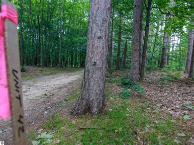 0000-Unit 41 Trailside Dr, Weldon Township, MI 49683 - photo 6