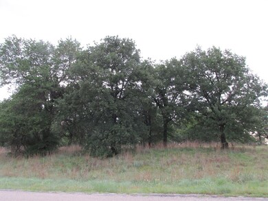 7800 Old Agnes Rd, Poolville, TX 76487 - photo 3