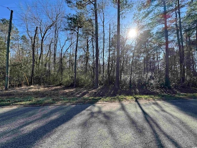 TBD Long Branch Swamp Rd, Nichols, SC 29581 - photo 2