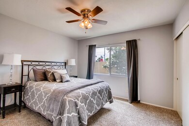 guest bed