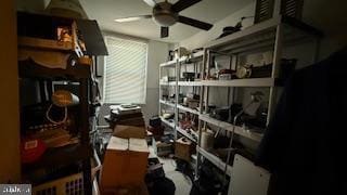 7651 Rugby St, Philadelphia, PA 19150 - photo 5