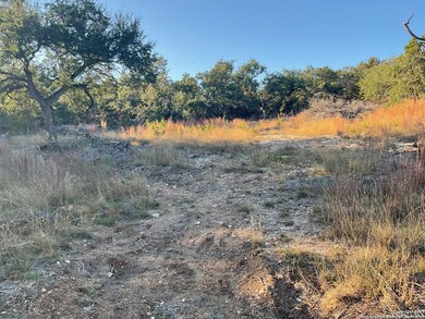 113 Champion Way, Spring Branch, TX 78070 - photo 5