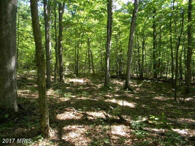 0 Back Rd unit 1003917327, Strasburg, VA 22657 - photo 7