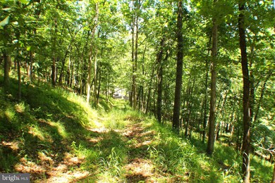 127 Ac Trough Rd, Moorefield, WV 26836 - photo 4