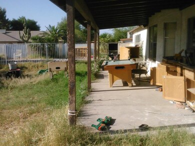 IMG206-backyard